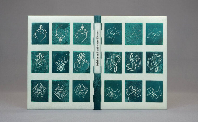 Belebte und unbelebte Körper